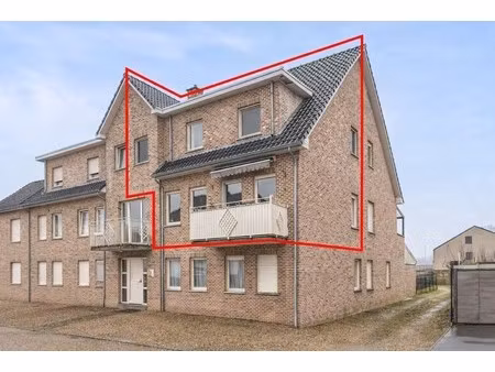 ruim energiezuinig duplexappartement (146 m²) - kwaliteitslabel b - 3 slaapkamers  terras 