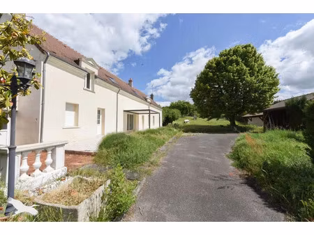 vente maison 7 pièces 242 m² saint-romain-sur-cher (41140)