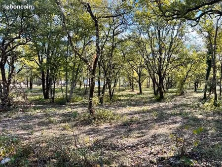 terrain 1 069 m² lalbenque