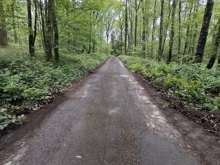 recreatiegrond midden in het groene hart van de ardennen