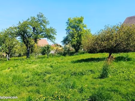 terrain 608 m² hirtzbach