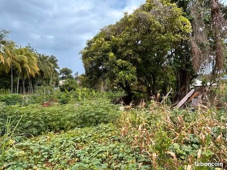 exclusivité - terrain constructible 2385 m² – changy  capesterre-belle-eau (971) – viabili