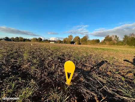 terrain constructible