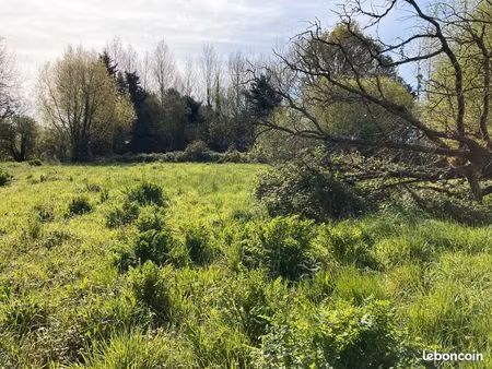 terrain boisé à vendre à bréhal avec présence ruisseau et plantations