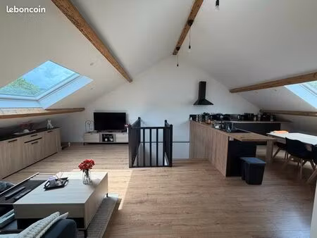 appartement rénové - 2 chambres - 58 m2 carrez / 95 m2 au sol - ternuay