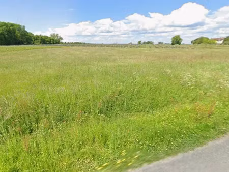 vente terrain 1000 m² berson (33390)