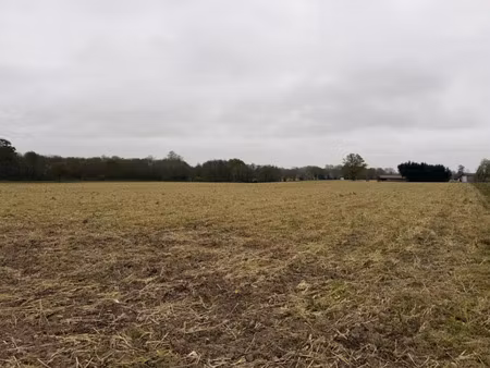 vente terrain 461 m² labatut (40300)