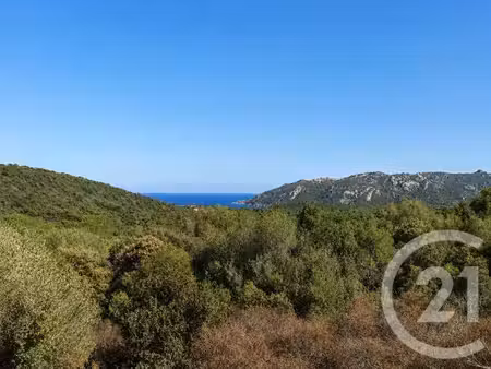 terrain à vendre - 1440 m2 - porto vecchio - 201 - corse