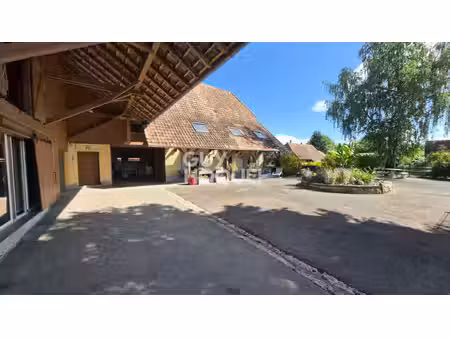 ensemble immobilier avec dépendances et studio hecken 6 pièces 175m2