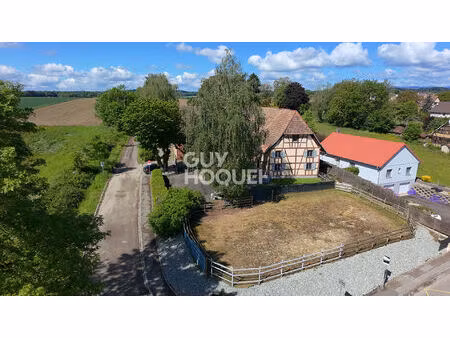 maison hecken 6 pièces 175m2