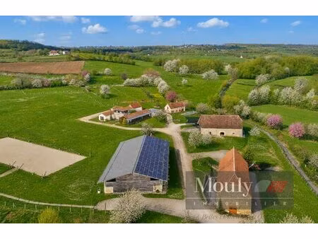 domaine d'exception sur 43h - maison contemporaine  dépendances  structure équestre