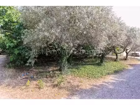 terrain caromb 861 m2
