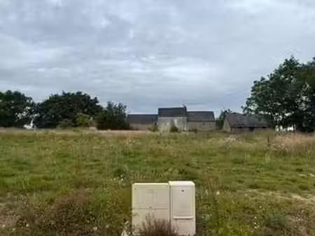 vente terrain à ligné (44850) : à vendre / ligné