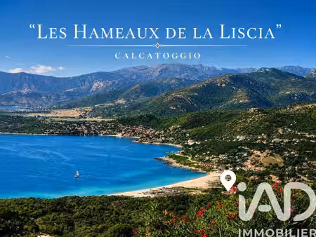 iad france thomas garrido