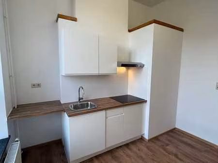 magnifique appartement entièrement rénové 1 ch