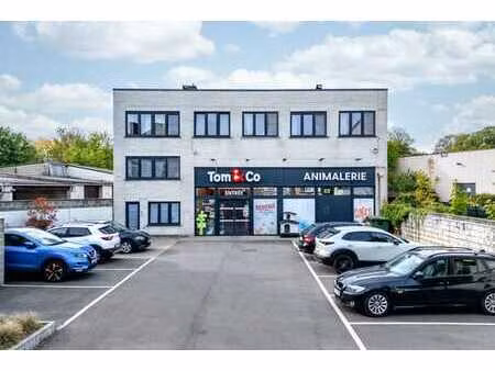 immeuble mixte