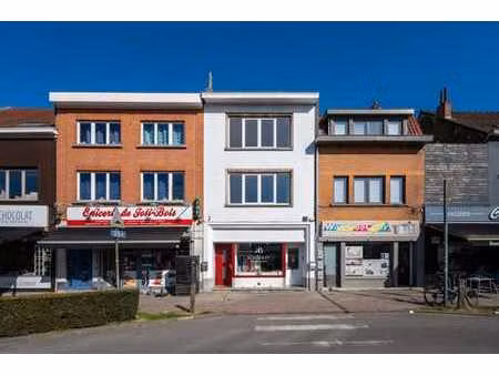 joli bois: immeuble rénové appartement/commerce