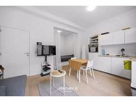 uiterst ruime hippe studio stadsrand leuven