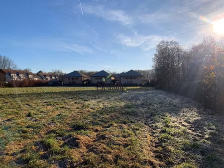 terrain de 8500 m pour lotissement