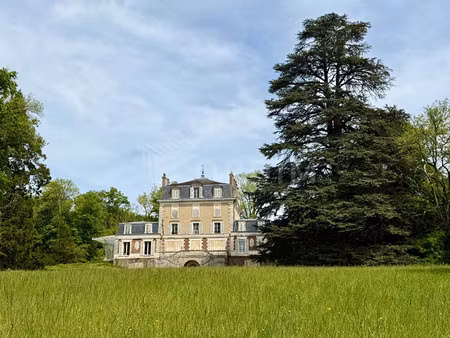 maison de luxe à vendre à saint-sauveur-en-puisaye