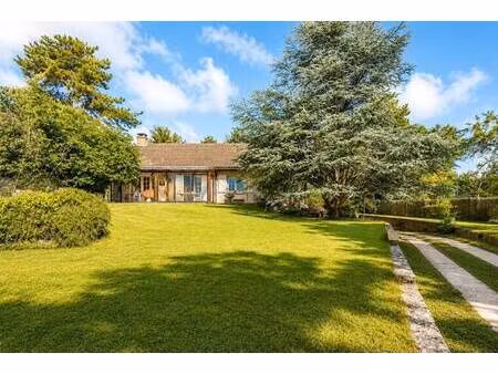 roussel immobilier