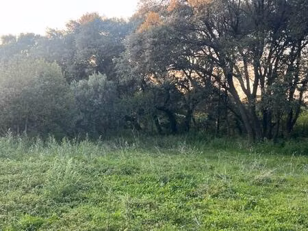 terrain constructible à vendre