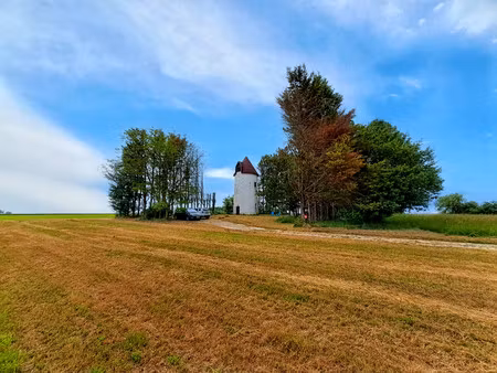 moulin à vendre à néré (17510) - charente-maritime