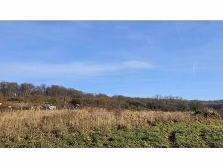 terrain constructible viabilisé à vendre
