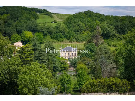 vente maison 9 pièces 230 m² à lestiac-sur-garonne (33550)  798 000 €