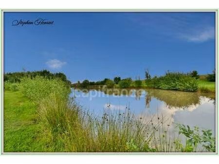 terrain à vendre