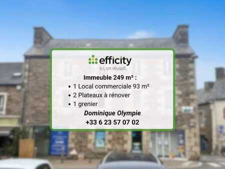 immeuble à vendre