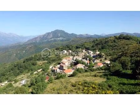 pierrine murroni bsk immobilier