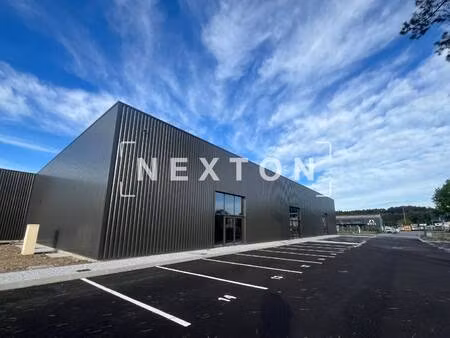 nexton immobilier