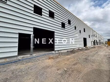 nexton immobilier