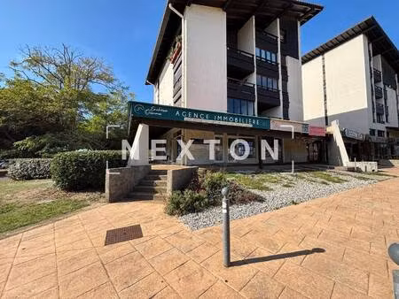 nexton immobilier