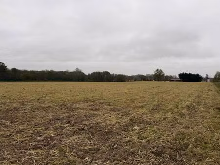 terrain constructible viabilisé à vendre