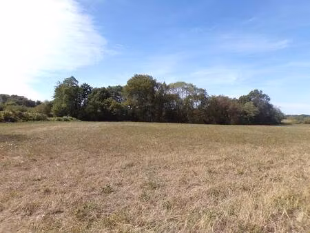 terrain constructible viabilisé à vendre