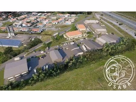 osaba anglet - osaba cambo