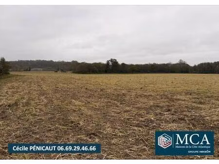 terrain constructible viabilisé à vendre