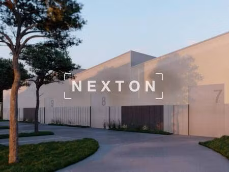 nexton immobilier