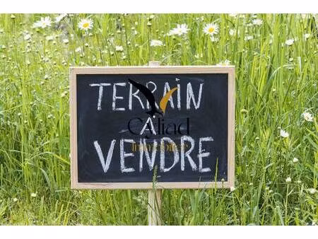terrain à vendre