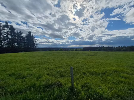 vente terrain 1395 m² saint-genest-malifaux (42660)