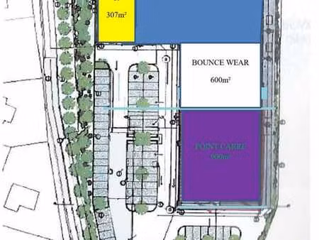 surface commerciale 307 m² avec parking