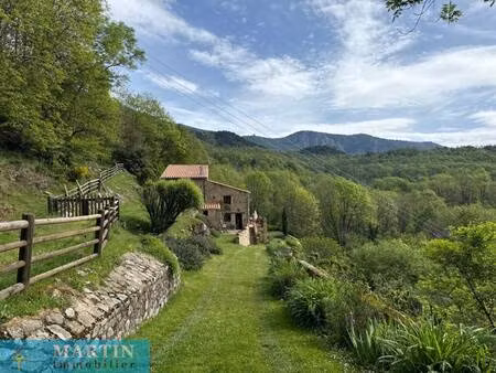 martin immobilier