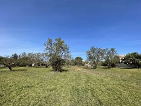 terrain constructible à vendre