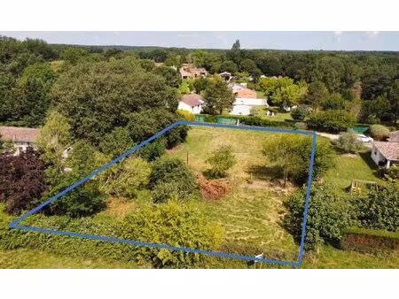 grand terrain constructible et plat