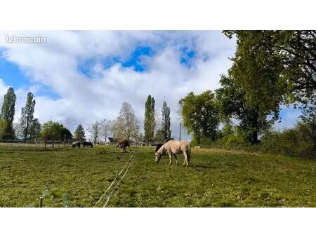 cherche pâture chevaux