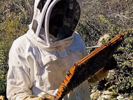 recherche terrain pour apiculture