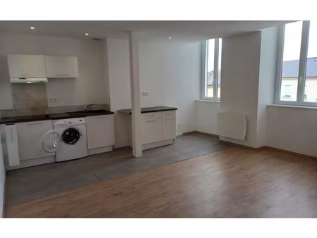 location appartement  50.68 m² t-1 à nay  560 €