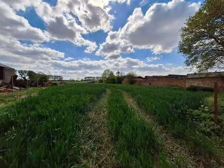 ormeignies (loju) lot 02